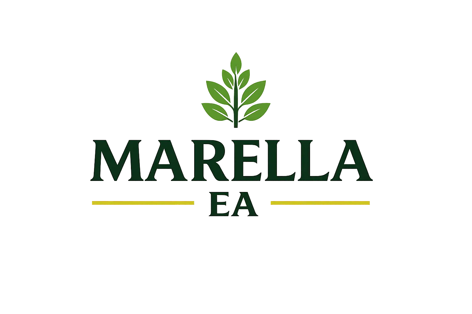 My Website